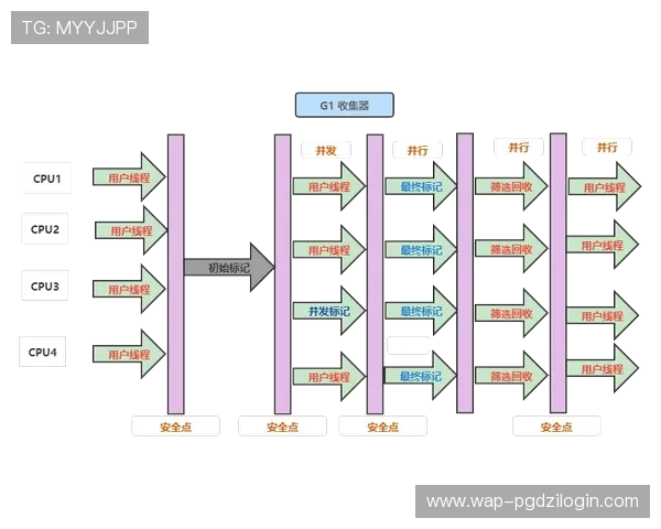 PG电子滚球实战攻略,带你深入了解游戏中的关键操作与策略布局