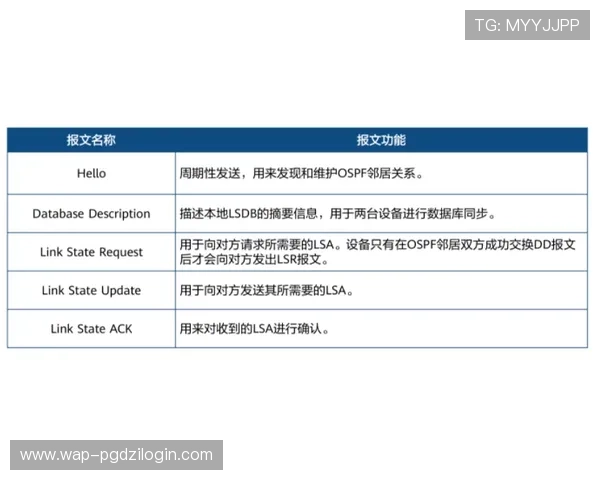 全面解析PG电子数字站官网的最新优惠活动与奖励机制 全面解析PG电子数字站官网的最新优惠活动与奖励机制