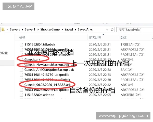 PGSOFT官网国际登录流程详解及常见问题解决方案推荐