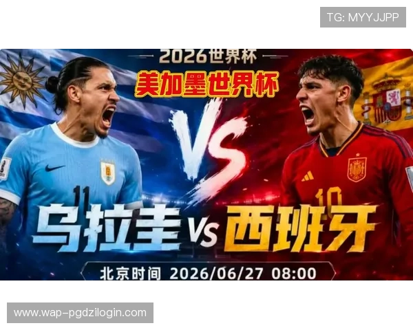 乌拉圭与西班牙世界杯比赛结果分析，谁将晋级下一轮？